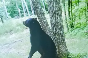 44384 Grace Lake Rd, Ogema Twp, MN 55037 - Photo 71