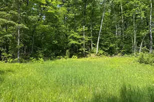 44384 Grace Lake Rd, Ogema Twp, MN 55037 - Photo 59