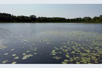 44384 Grace Lake Road, Ogema Twp, MN 55037 - Photo 57