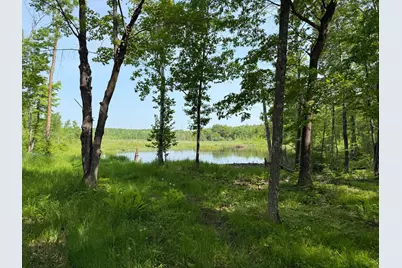 44384 Grace Lake Road, Ogema Twp, MN 55037 - Photo 61