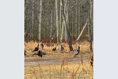 44384 Grace Lake Road, Ogema Twp, MN 55037 - Photo 69