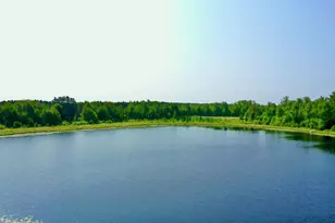 44384 Grace Lake Rd, Ogema Twp, MN 55037 - Photo 5