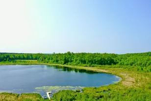 44384 Grace Lake Rd, Ogema Twp, MN 55037 - Photo 7