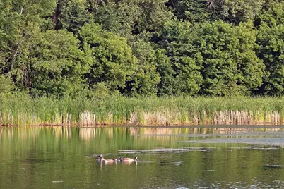 6615 Lake Shore Drive S #603, Richfield, MN 55423 - Photo 35