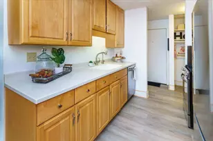 3033 E Bde Maka Ska Pkwy, Minneapolis, MN 55408 - Photo 11