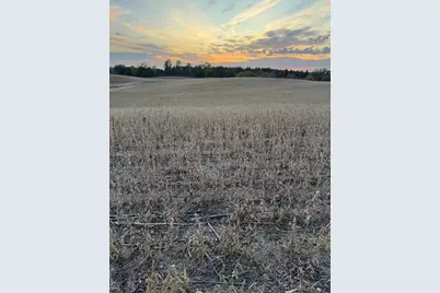 Tbd Placid Drive, Dent, MN 56528 - Photo 1