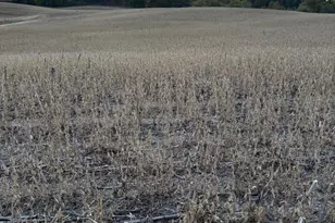 Tbd Placid Dr, Dent, MN 56528 - Photo 1