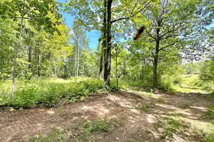 4030 N Rd, Moose Lake, MN 55767 - Photo 63