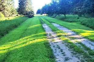 25320 154th St, Staples, MN 56479 - Photo 29