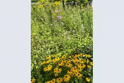 6312 230th Street, Saint Augusta, MN 56301 - Photo 65