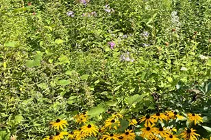 6312 230th St, Saint Augusta, MN 56301 - Photo 65