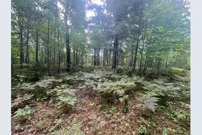 Lot 43 Deerpath Trail Way, Danbury, WI 54830 - Photo 5