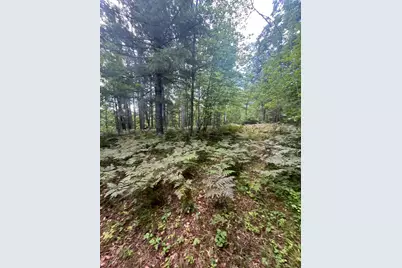 Lot 43 Deerpath Trail Way, Danbury, WI 54830 - Photo 3