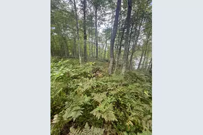 Lot 43 Deerpath Trail Way, Danbury, WI 54830 - Photo 13