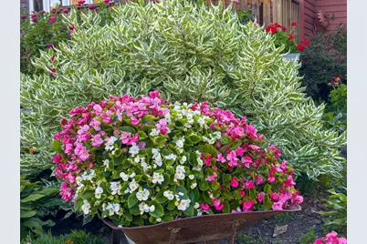 1124 8th Avenue SW, Faribault, MN 55021 - Photo 53