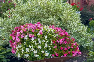 1124 8th Ave SW, Faribault, MN 55021 - Photo 53