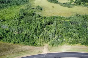Tbd County Rd 13, Nevis, MN 56467 - Photo 1