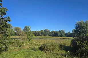 29151 Pleasant Lake Rd, Underwood, MN 56586 - Photo 11