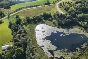 29151 Pleasant Lake Rd, Underwood, MN 56586 - Photo 15