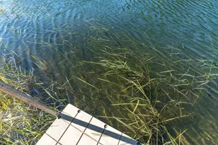 24519 E Rivers Bend Rd, Fergus Falls, MN 56537 - Photo 29