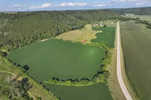 22390 County 15, Houston, MN 55943 - Photo 1