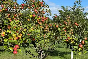 12558 W Twin Lake Rd, Hayward, WI 54843 - Photo 67