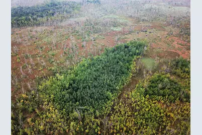 Tbd 340th Street, New York Mills, MN 56567 - Photo 3