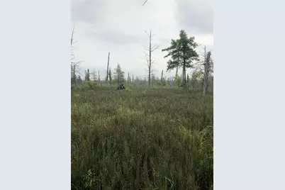 Tbd 340th Street, New York Mills, MN 56567 - Photo 19