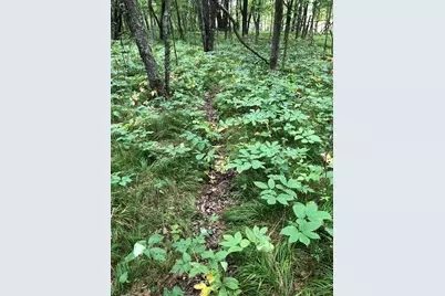 Tbd 340th Street, New York Mills, MN 56567 - Photo 25