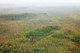 Tbd 340th St, New York Mills, MN 56567 - Photo 1