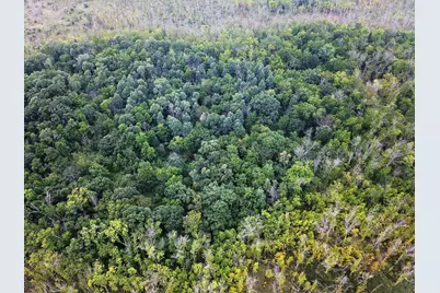 Tbd 340th Street, New York Mills, MN 56567 - Photo 5