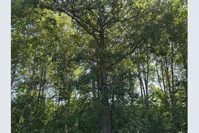 Tbd 340th Street, New York Mills, MN 56567 - Photo 43