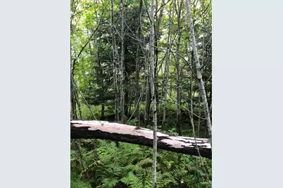 Tbd 340th Street, New York Mills, MN 56567 - Photo 37