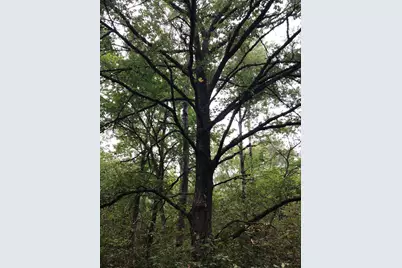 Tbd 340th Street, New York Mills, MN 56567 - Photo 31