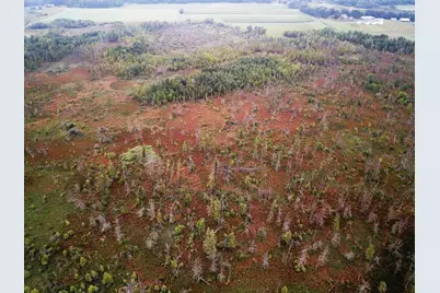 Tbd 340th Street, New York Mills, MN 56567 - Photo 11