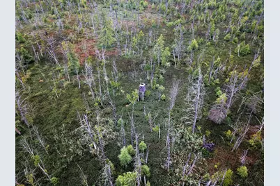 Tbd 340th Street, New York Mills, MN 56567 - Photo 7