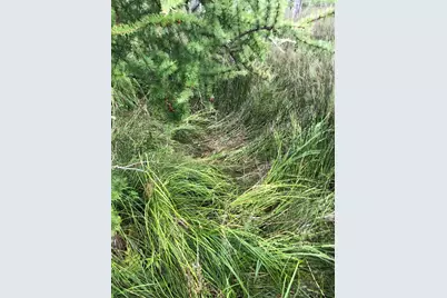 Tbd 340th Street, New York Mills, MN 56567 - Photo 23