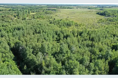 Tbd 385th Street, New York Mills, MN 56567 - Photo 1