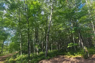 Lot 1 Ken Can Ln, Webster, WI 54893 - Photo 1