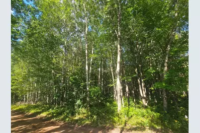 Lot 1 Ken Can Lane, Webster, WI 54893 - Photo 7
