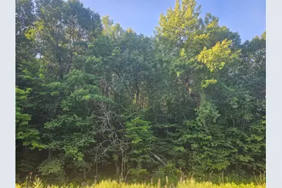 Lot 1 Ken Can Lane, Webster, WI 54893 - Photo 5