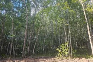 Lot 2 Ken Can Ln, Webster, WI 54893 - Photo 1