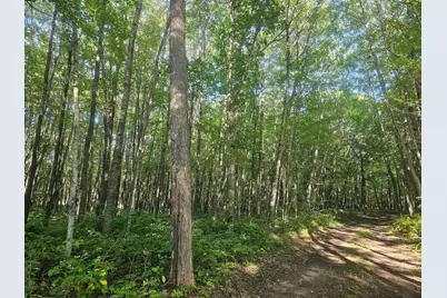 Lot 2 Ken Can Lane, Webster, WI 54893 - Photo 5