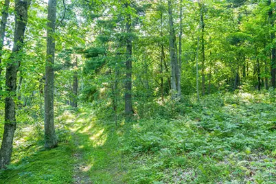 Tbd Lantern Lane, Hackensack, MN 56655 - Photo 17