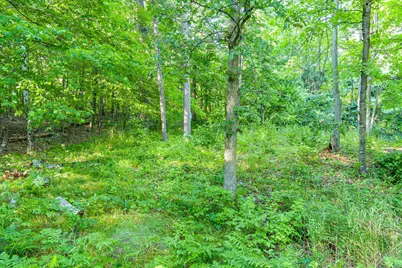 Tbd Lantern Lane, Hackensack, MN 56655 - Photo 23