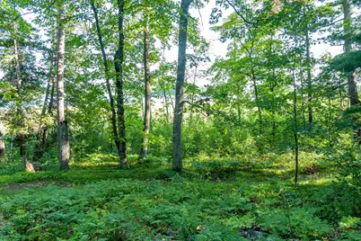 Tbd Lantern Lane, Hackensack, MN 56655 - Photo 21