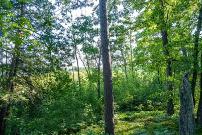 Tbd Lantern Lane, Hackensack, MN 56655 - Photo 13