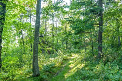 Tbd Lantern Lane, Hackensack, MN 56655 - Photo 31