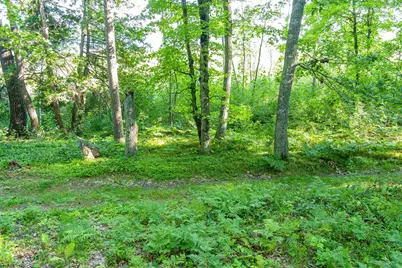Tbd Lantern Lane, Hackensack, MN 56655 - Photo 27