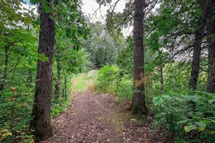 13744 270th St, Cold Spring, MN 56320 - Photo 15